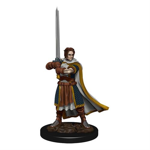 DnD figur Icons of the Realms Premium - Human Cleric Male